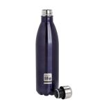 Purple Thermos 750ml