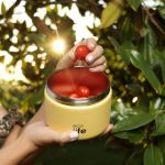 Στρογγυλό Θερμός Φαγητού 650ml | Κίτρινο