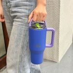 Blue Purple 900ml (2Handles Lid)