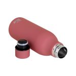Coral Reef Thermos 550ml